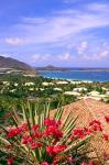 Orient Bay and pink flowers, St Martin, Caribbean