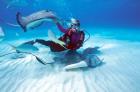 Stingray City, Cayman Islands, Caribbean