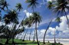 View of Manzanilla Bay, Port of Spain, Trinidad, Caribbean