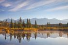 Canada, Alberta, Jasper National Park Scenic of Cottonwood Slough