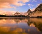 Bow Lake, Banff NP, Alberta, Canada