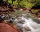 Lost Horse Creek, Wateron Lakes National Park, Alberta, Canada