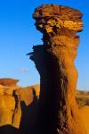 Sandstone rock, Dinosaur Provincial Park, Alberta