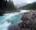 Mistaya River in Banff National Park in Alberta, Canada