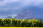 Crowsnest Mountain at Crownest Pass in Alberta, Canada