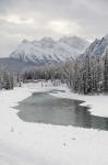 Icefields Parkway, Jasper National Park, Alberta, Canada