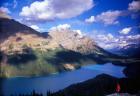 Hiker Overlooking Peyto Lake, Banff National Park, Alberta, Canada