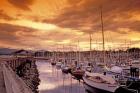 Boats at Sunset, Comox Harbor, British Columbia