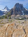 Scenic of Mt Assiniboine and Wedgwood Peak, BC, Canada