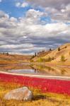 Grassland landscape, Lac Du Bois Grasslands Park, Kamloops, BC, Canada