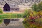 Haynes Ranch Buildings Preservation Project, Osoyoos, BC, Canada