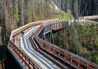 Bicycling, Kettle Valley Railway, British Columbia