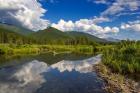 Beaver pond along the Flathead River near Fernie, British Columbia, Canada