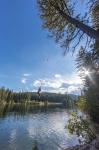 Rope swinging at Champion Lakes Provincial Park, BC, Canada