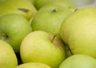 Canada, British Columbia, Cowichan Valley Close-Up Of Green Apples