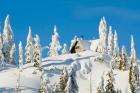 Mountain cabin, Seymour Mountain, British Columbia