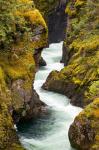 River, Vancouver Island, British Columbia