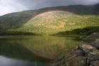 Buttle Lake, Vancouver Isl, British Columbia