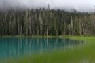 Blue glacial lake, evergreen forest, British Columbia