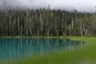 Blue glacial lake, evergreen forest, British Columbia