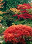 View of Butchart Garden, Victoria, British Columbia, Canada