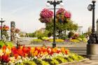 Hanging Flower Baskets, Victoria, BC