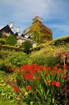 Summer in Hately Gardens, Victoria, British Columbia