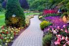 Path and Flower Beds in Butchart Gardens, Victoria, British Columbia, Canada