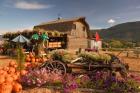 Log Barn and Fruit Stand in Autumn, British Columbia, Canada