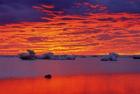 Hudson Bay Floating Ice Against Sunset