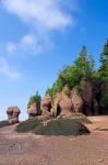 Bay of Fundy Hopewell Rocks