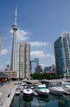 Marina Skyline View