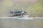 Sightseeing Boat in Niagara Falls