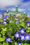 USA, Montreal View Of City Hall Building Behind Flowers