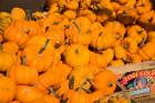 Produce Market, Montreal, Quebec