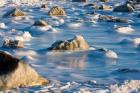 Hudson Bay in the Snow