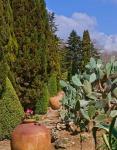Botanical Garden in Balchik