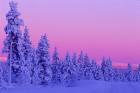 Winter Sunset in Finland