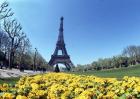 Eiffel Tower, Paris, France