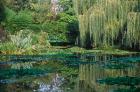 Claude Monet's Garden Pond in Giverny, France