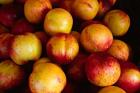 Plums at an Outdoor Market, Nice, France