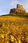 Roche de Solutre above Vineyards, France