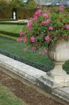 Formal Gardens of Versailles, France