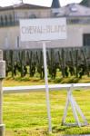 Vineyard and Chateau Cheval Blanc