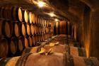 Wooden Barrels with Aging Wine in Cellar
