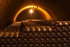 Champagne Bottles in Vaulted Cellar