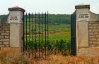 Iron Gate to the Vineyard Clos Pitois