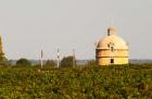 Tower and Flags of Chateau Latour Vineyard