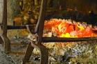 Fireplace with a Burning Log on a Truffle Farm