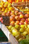 Market Stalls with Produce, Sanary, France